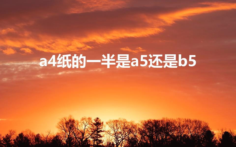 a4纸的一半是a5还是b5（a4的一半大小是什么尺寸）