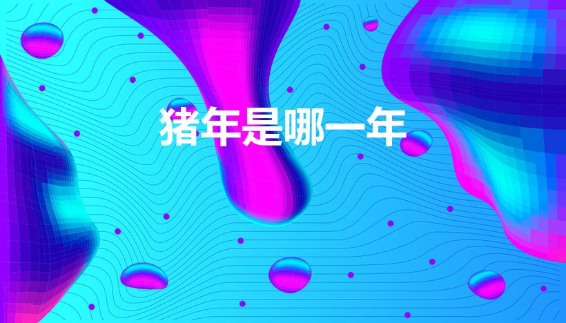 猪年是哪一年（猪年是哪几年）