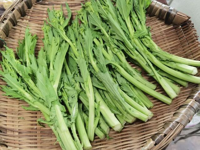 冲菜是什么菜（探讨冲菜的菜肴特点和历史）