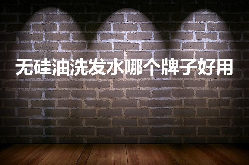 无硅油洗发水哪个牌子好用