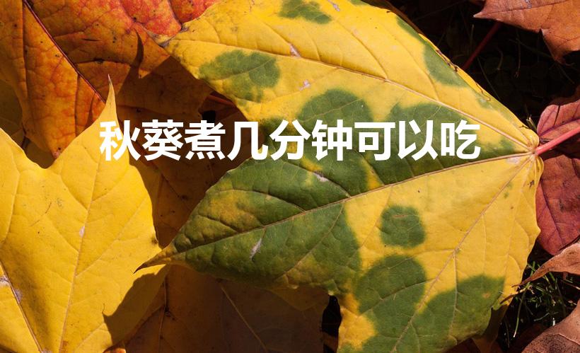 秋葵煮几分钟可以吃（秋葵煮多久会熟）