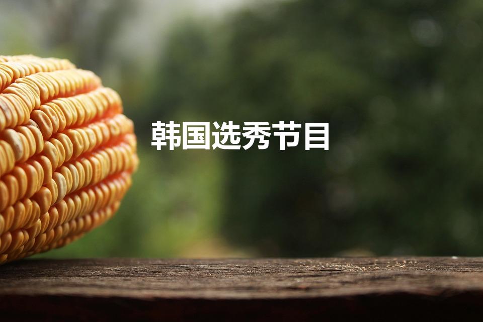 韩国选秀节目（三塔鸭鸭选秀韩国叫什么）