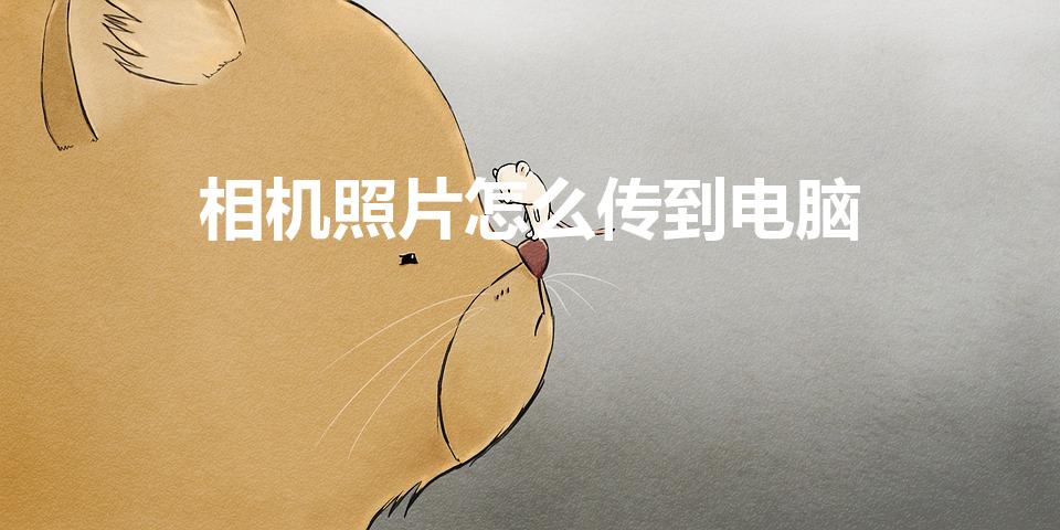 相机照片怎么传到电脑（相机里的照片怎么传到电脑）