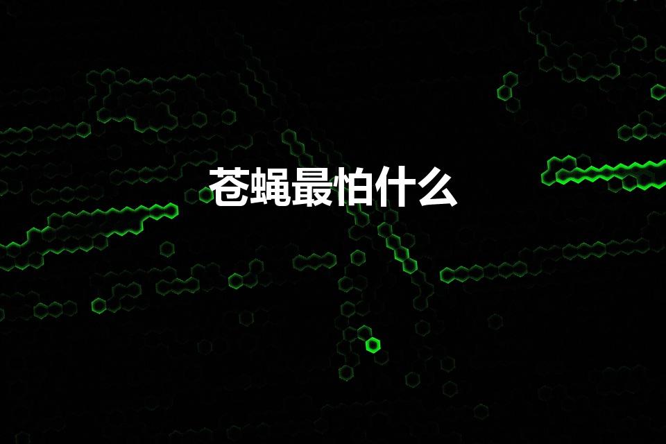 苍蝇最怕什么（苍蝇最怕什么东西）