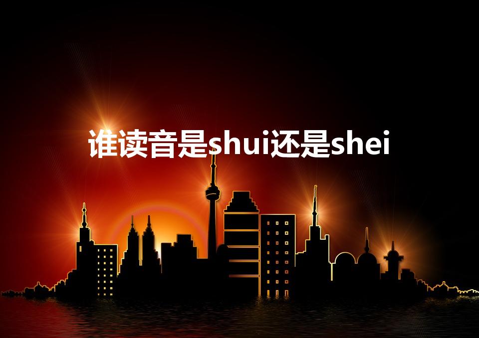谁读音是shui还是shei