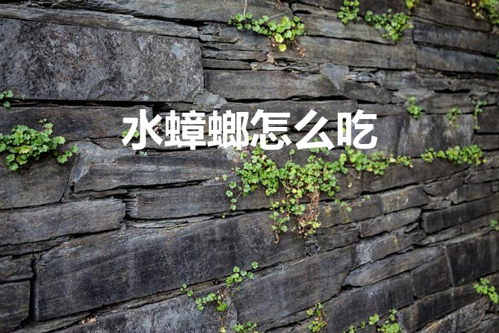 水蟑螂怎么吃（在小龙虾里发现水蟑螂怎么办）