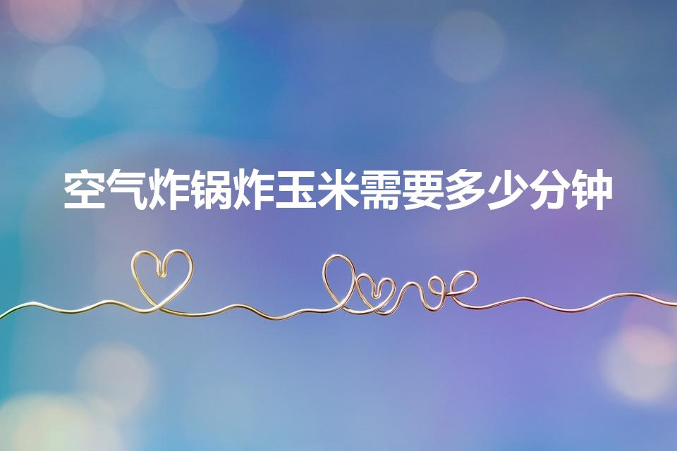 空气炸锅炸玉米需要多少分钟（空气炸锅烤玉米多长时间）