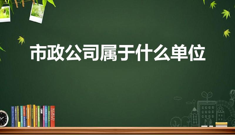 市政公司属于什么单位（市政属于什么单位）