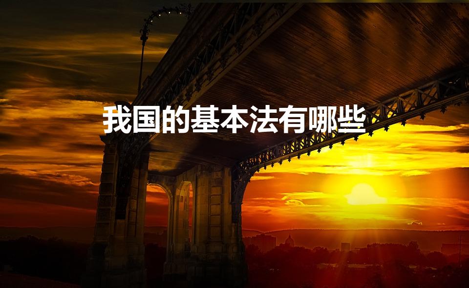 我国的基本法有哪些（基本法律有哪些）