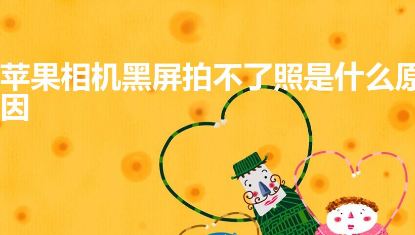 苹果相机黑屏拍不了照是什么原因