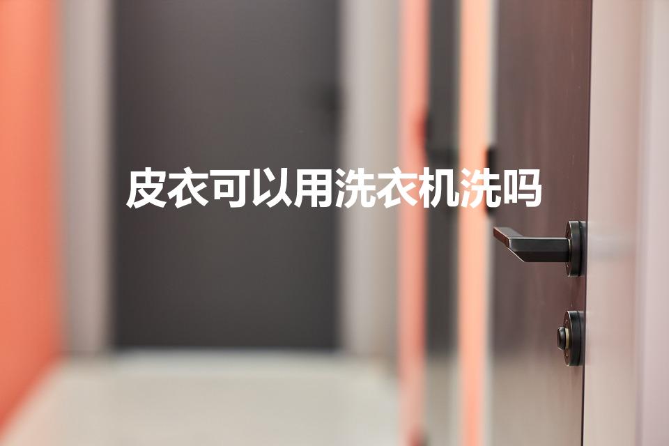 皮衣可以用洗衣机洗吗（皮衣能不能放在洗衣机里洗）