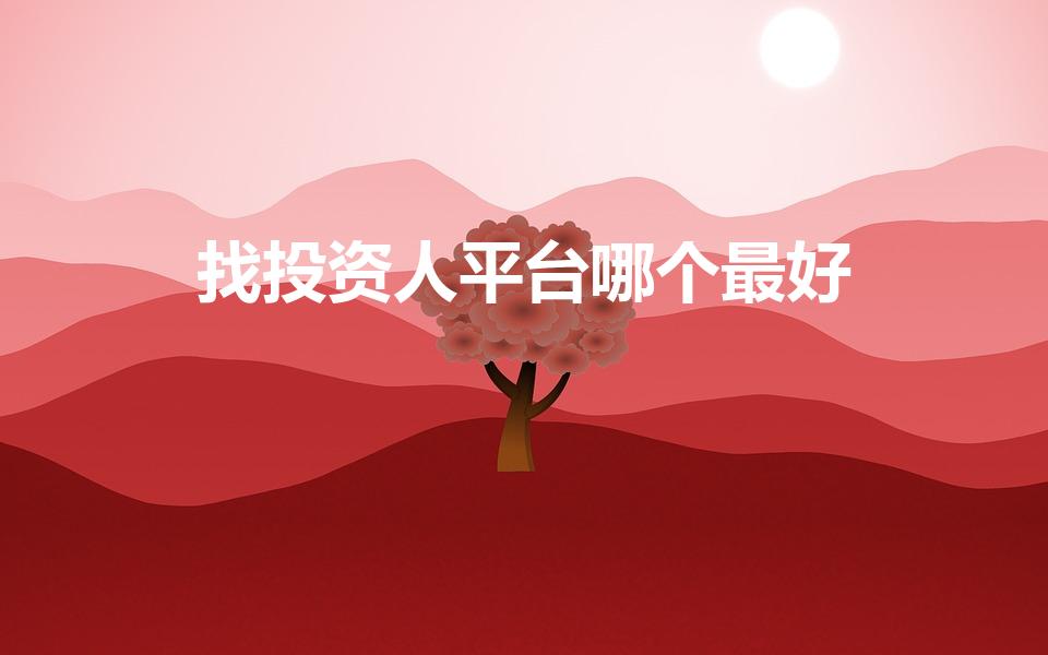 找投资人平台哪个最好（投资理财平台哪些最好）