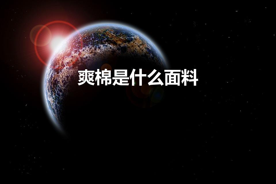 爽棉是什么面料（超爽棉是什么面料）