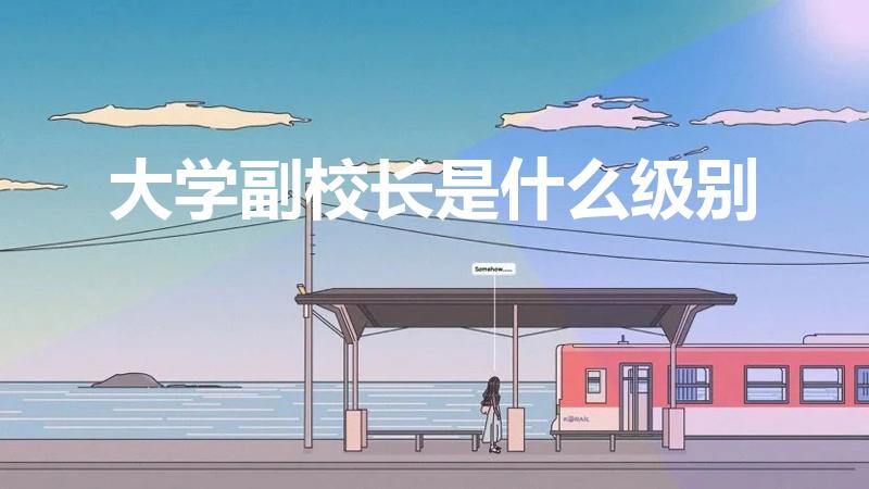 大学副校长是什么级别（上海大学副校长什么级别）