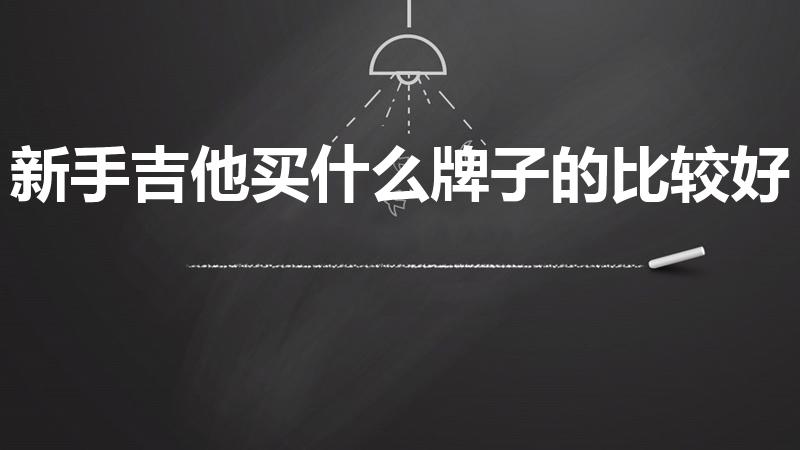 新手吉他买什么牌子的比较好（初学者吉他买什么牌子的好）