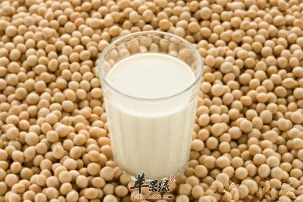 为什么减肥期间不能喝豆浆（减肥期间不宜饮用豆浆）