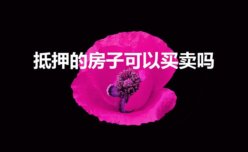 抵押的房子可以买卖吗（抵押给银行的房子可以卖吗）