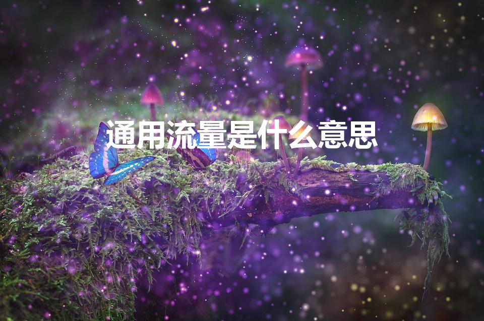 通用流量是什么意思（专属流量和通用流量是什么意思）