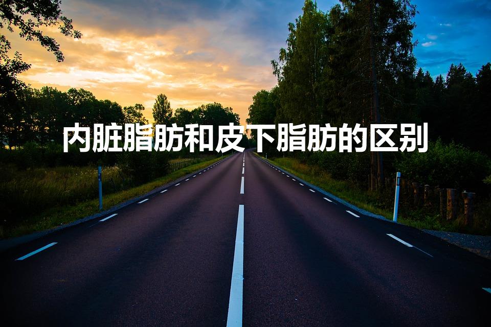 内脏脂肪和皮下脂肪的区别（皮下脂肪和内脏脂肪的区别）