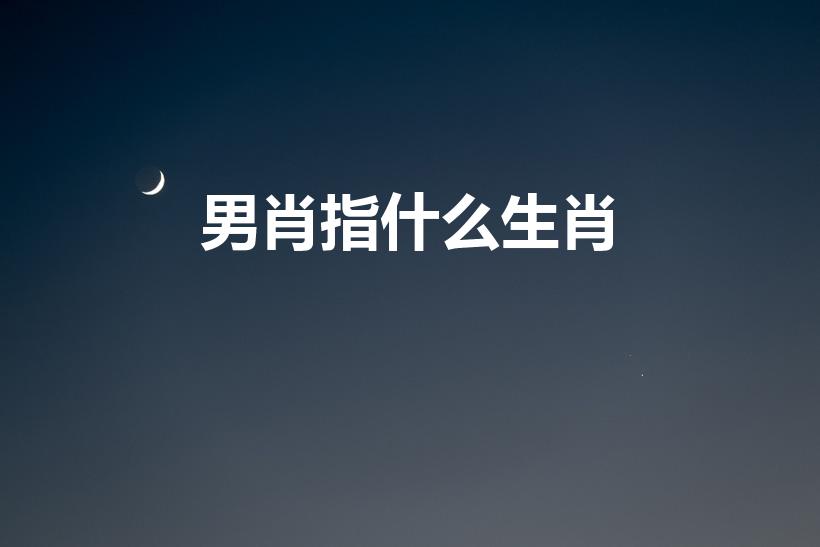 男肖指什么生肖（男肖有那几个生肖）
