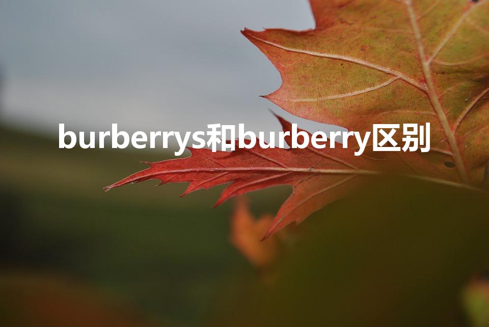 burberrys和burberry区别