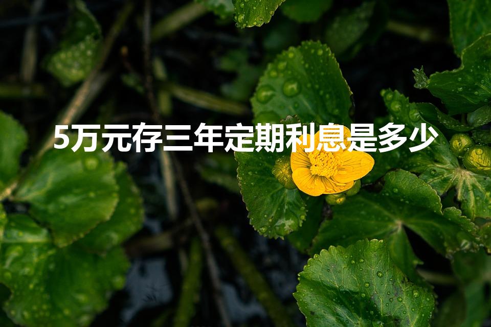 5万元存三年定期利息是多少（5万定期存三年利息多少）