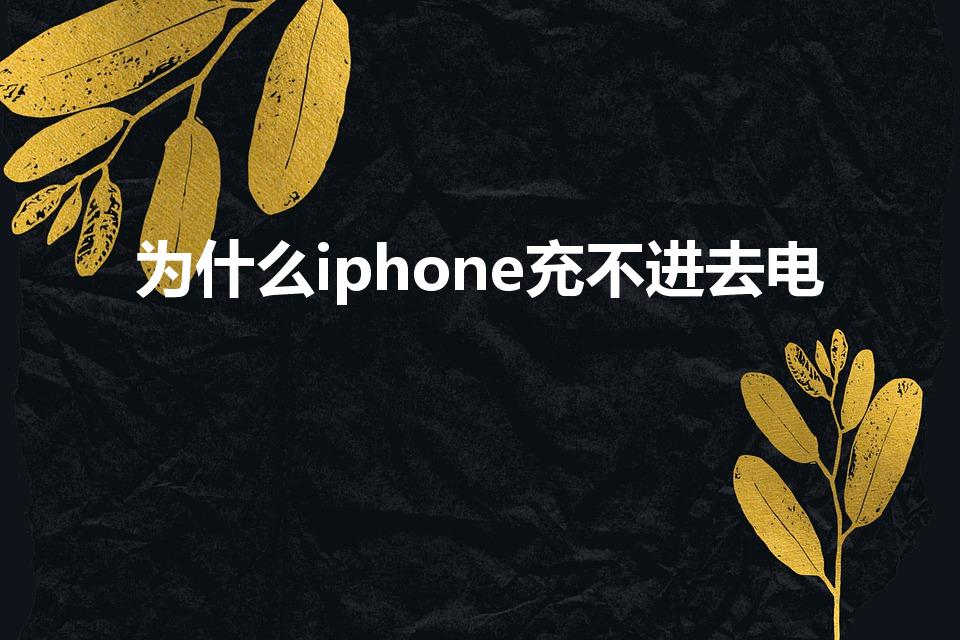 为什么iphone充不进去电（苹果充不进去电是怎么回事）