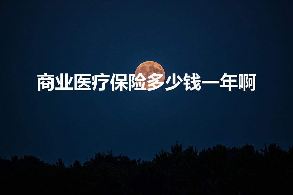 商业医疗保险多少钱一年啊（商业医保多少钱一年）