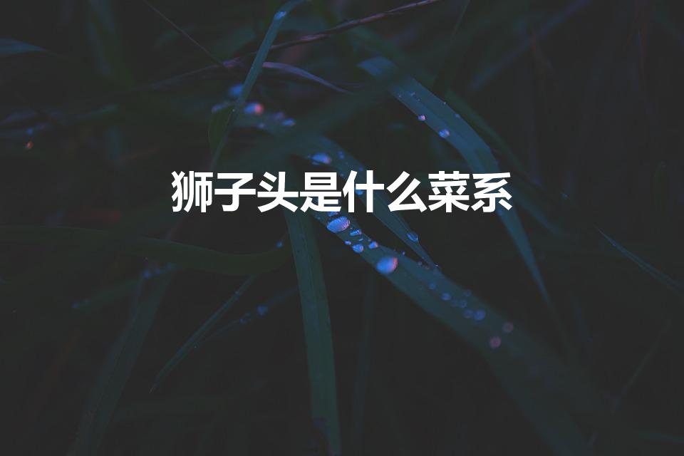 狮子头是什么菜系（狮子头是哪里的特色菜）