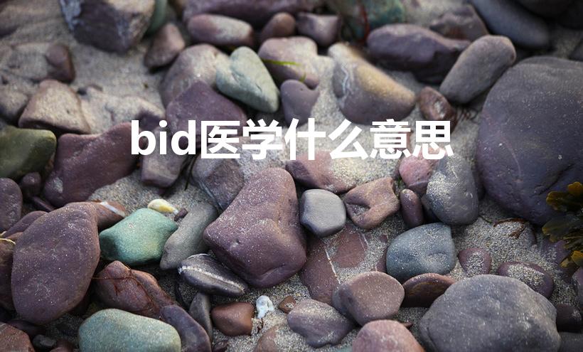 bid医学什么意思（bid是什么）