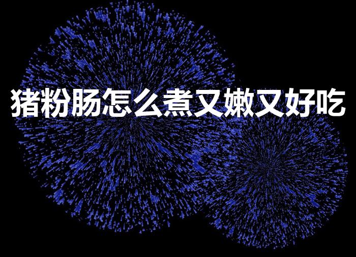 猪粉肠怎么煮又嫩又好吃（猪粉肠怎么做才好吃）