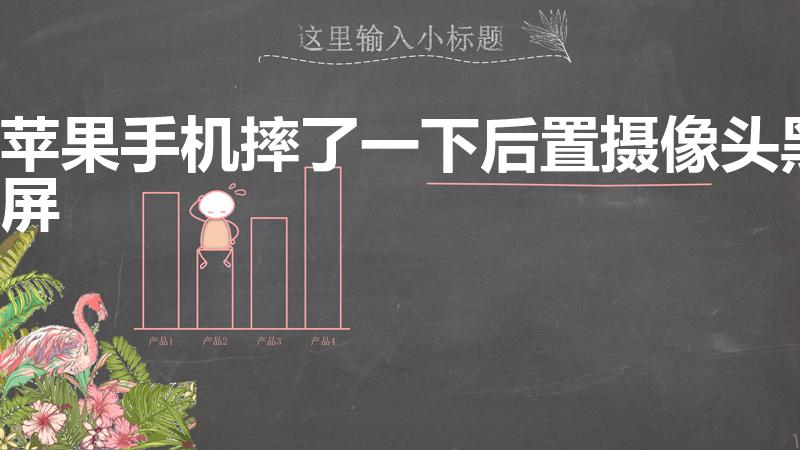 苹果手机摔了一下后置摄像头黑屏