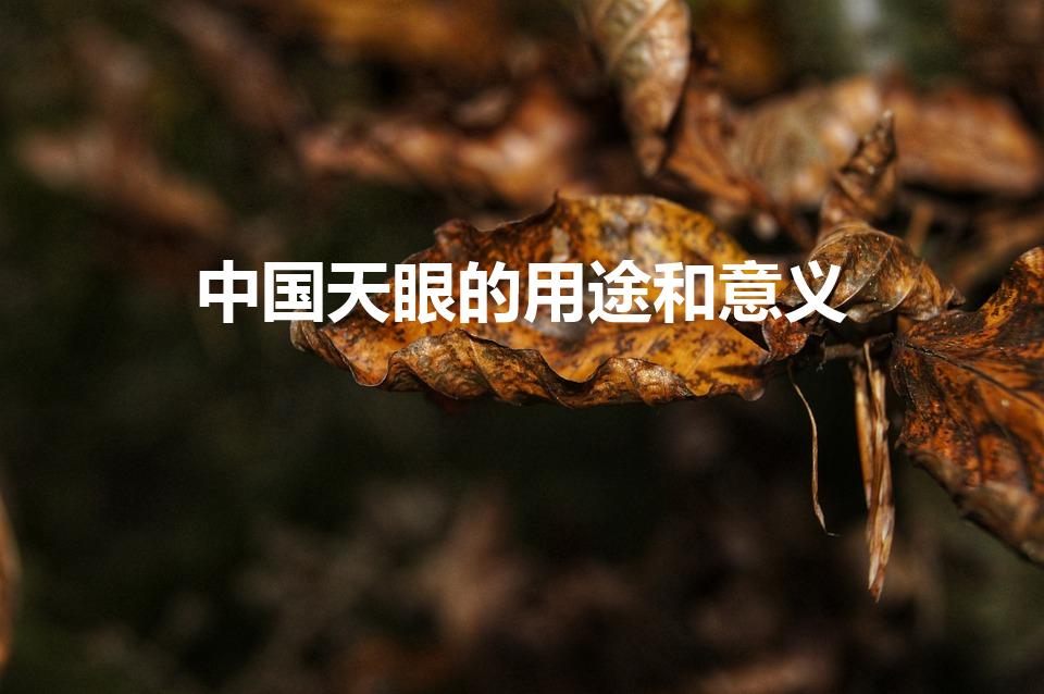 中国天眼的用途和意义（中国天眼是干什么用的）