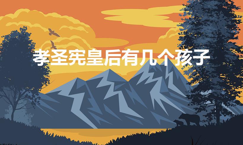 孝圣宪皇后有几个孩子（雍正的熹妃生几个孩子）