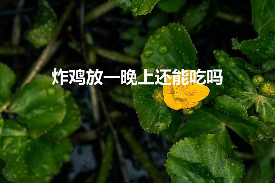炸鸡放一晚上还能吃吗（放一晚上的炸鸡还能吃么）
