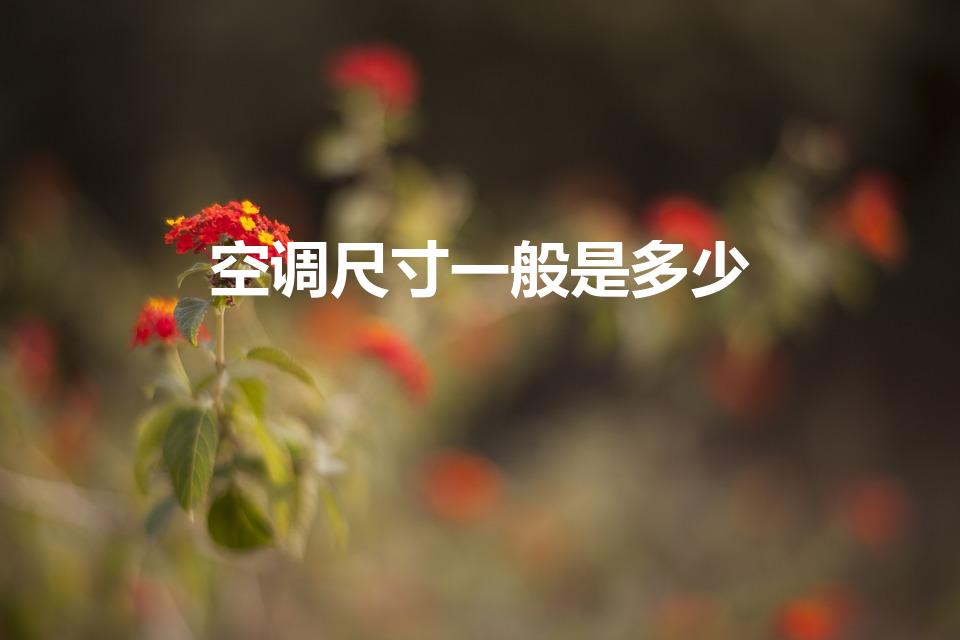 空调尺寸一般是多少（空调尺寸是多少）
