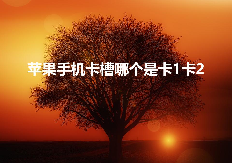 苹果手机卡槽哪个是卡1卡2（苹果12卡槽哪个是卡1卡2）