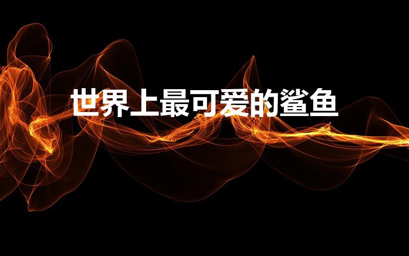 世界上最可爱的鲨鱼（最可爱的鲨鱼长什么样）