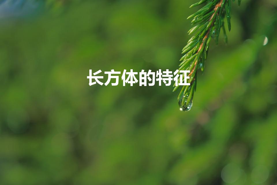 长方体的特征（长方体的特征是什么,用语言表达。）