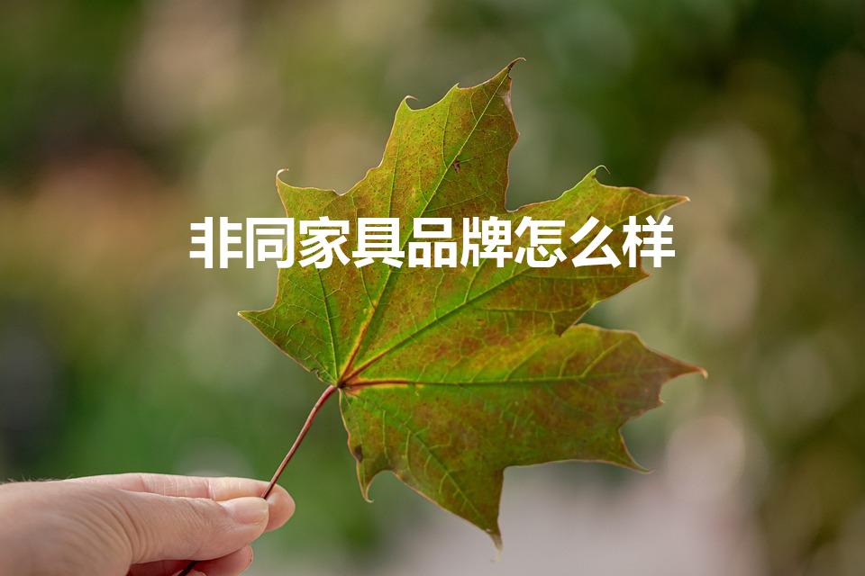 非同家具品牌怎么样（非同沙发为什么这么贵）