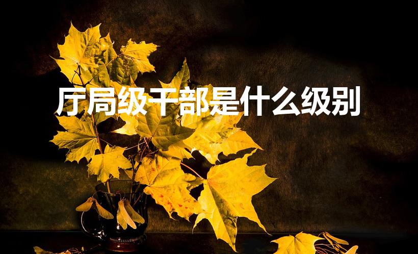 厅局级干部是什么级别（厅级干部是什么级别）