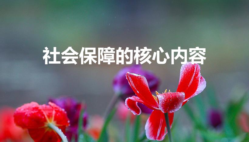 社会保障的核心内容（现代社会保障制度的核心内容是什么）
