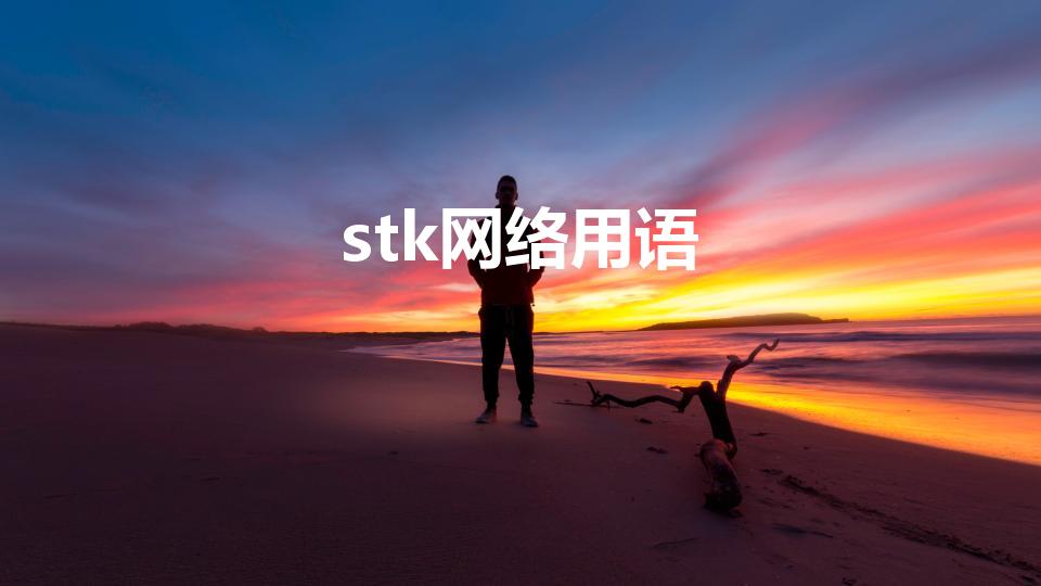 stk网络用语（网络stk是什么意思）