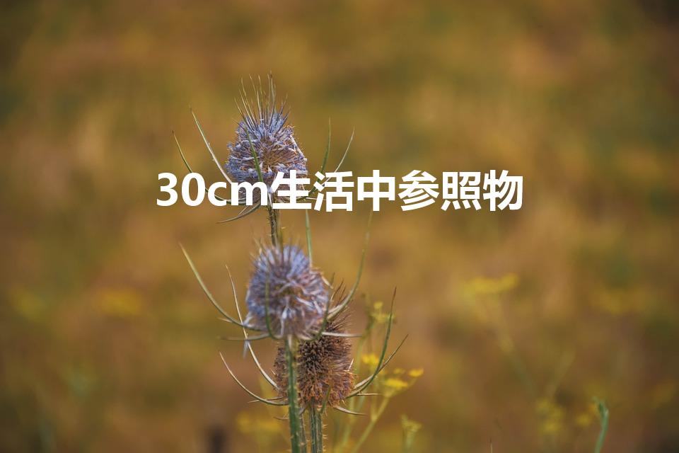 30cm生活中参照物（30cm生活中参照物有哪些）