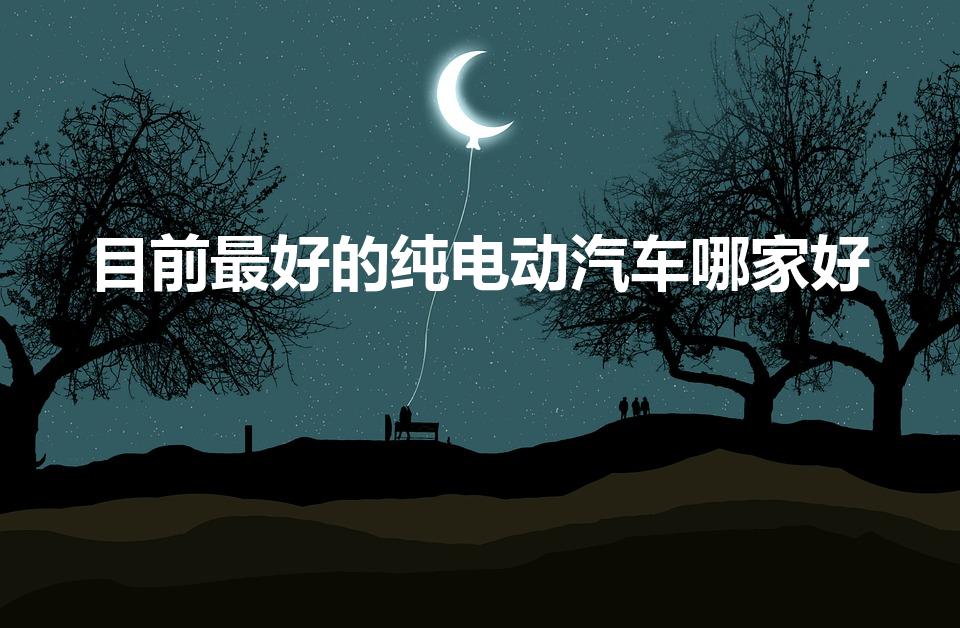 目前最好的纯电动汽车哪家好（目前最好的纯电动汽车）