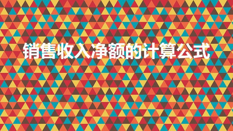 销售收入净额的计算公式（销售净收入计算公式）