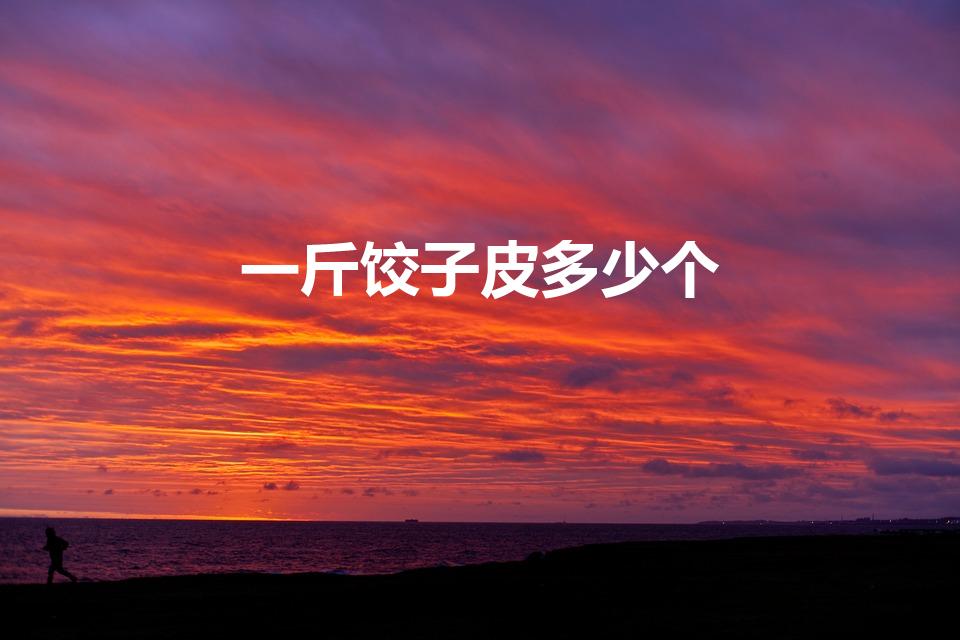 一斤饺子皮多少个（一斤饺子皮包多少个饺子）