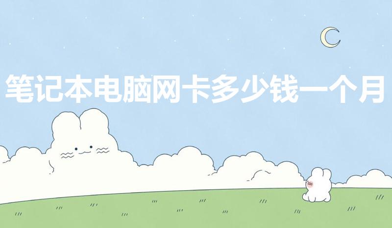 笔记本电脑网卡多少钱一个月（笔记本无线网卡多少钱一个月）