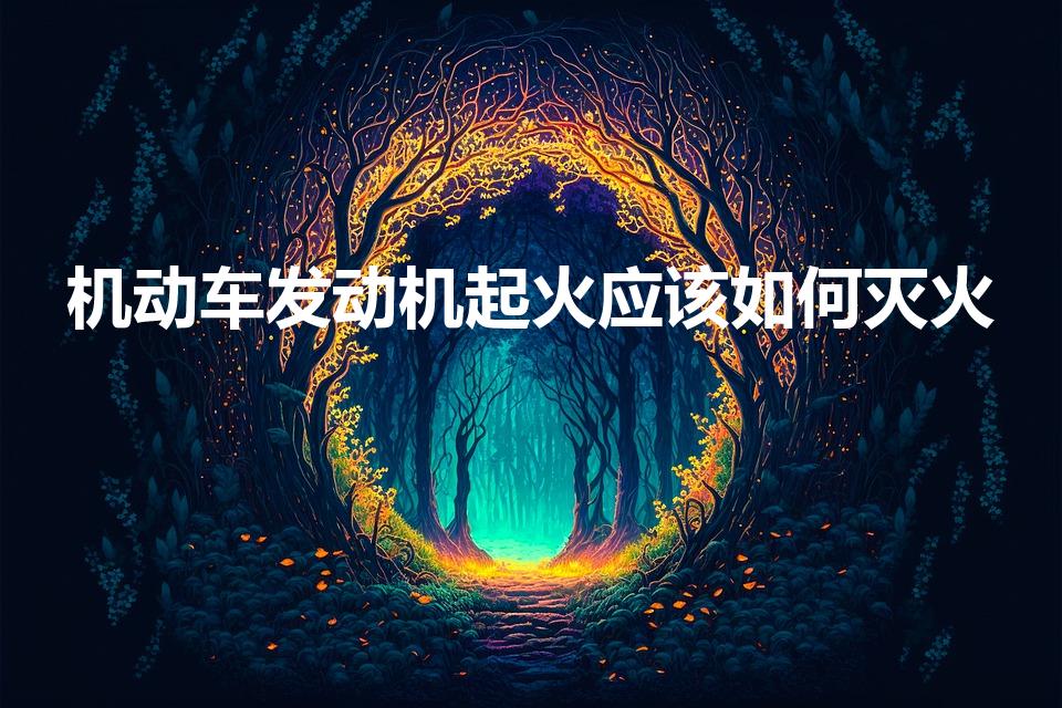 机动车发动机起火应该如何灭火