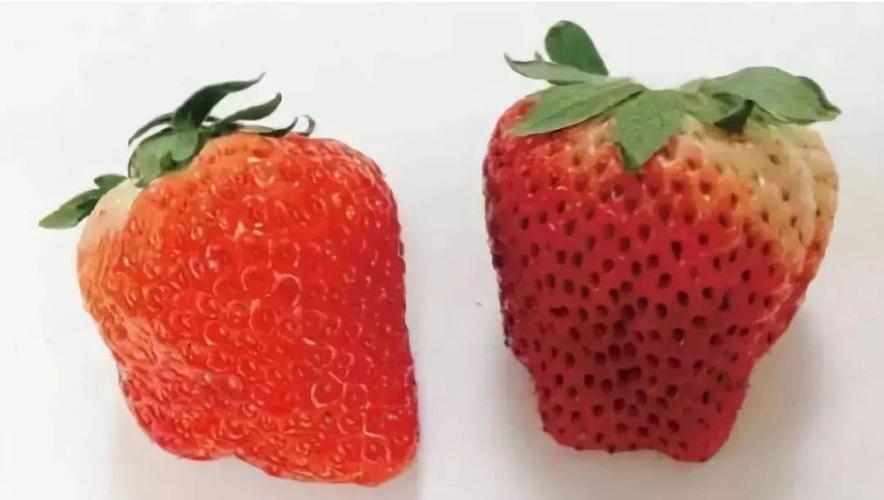 草莓不能吸在哪示意图（草莓如何正确清洗示意图）